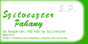 szilveszter pahany business card